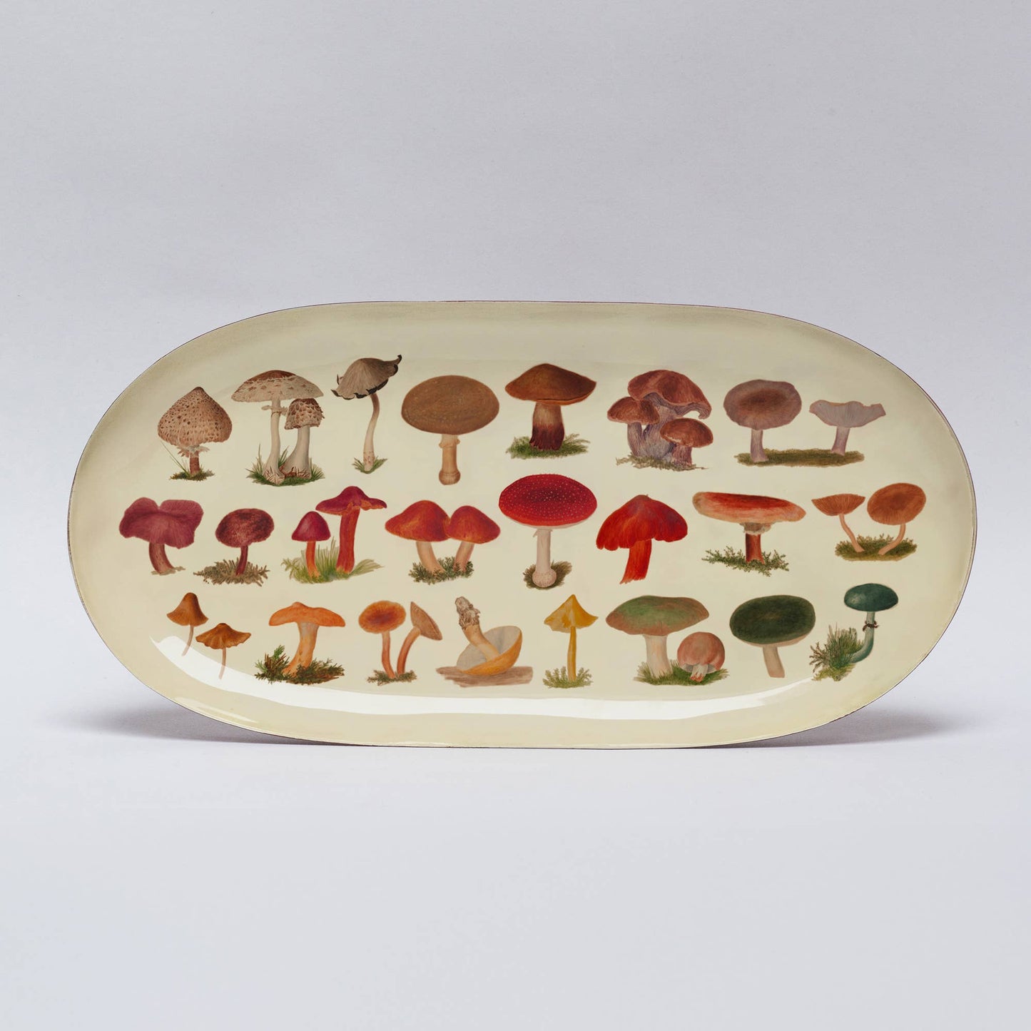 Fungi Oval Enamel Tray