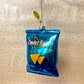 Cooler Ranch Doritos Ornament